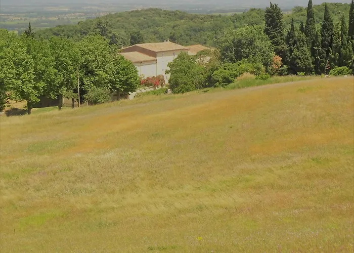 Domaine De La Petite Tour