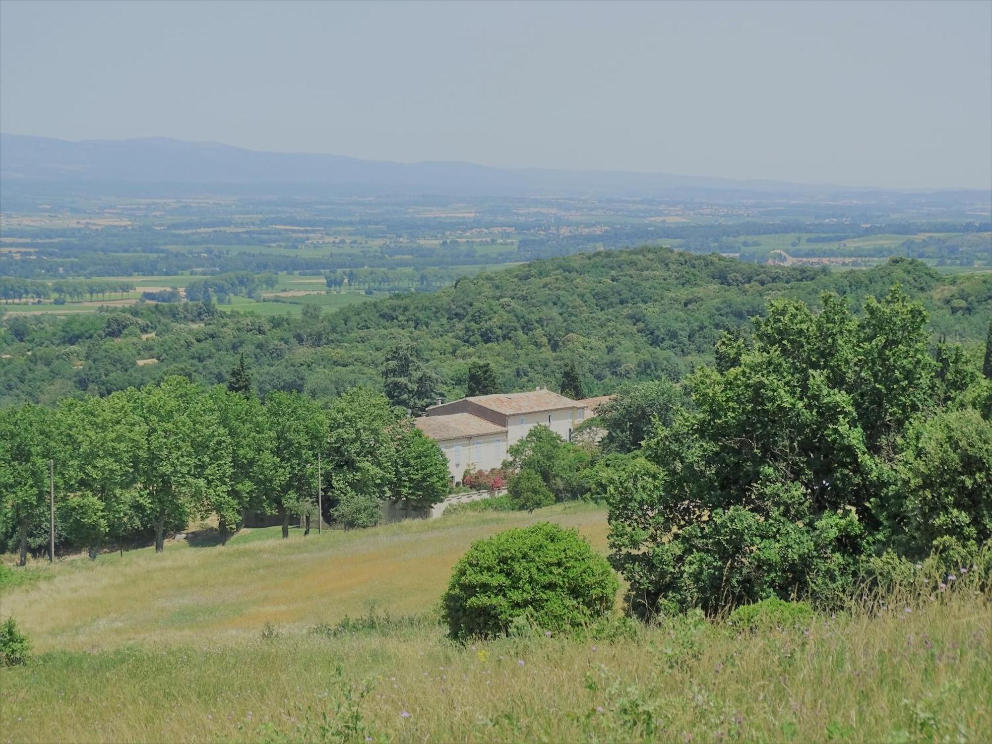 Domaine De La Petite Tour
